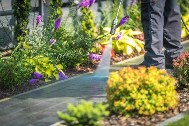 Best Concrete Surface Cleaning in Cameron Park, TX